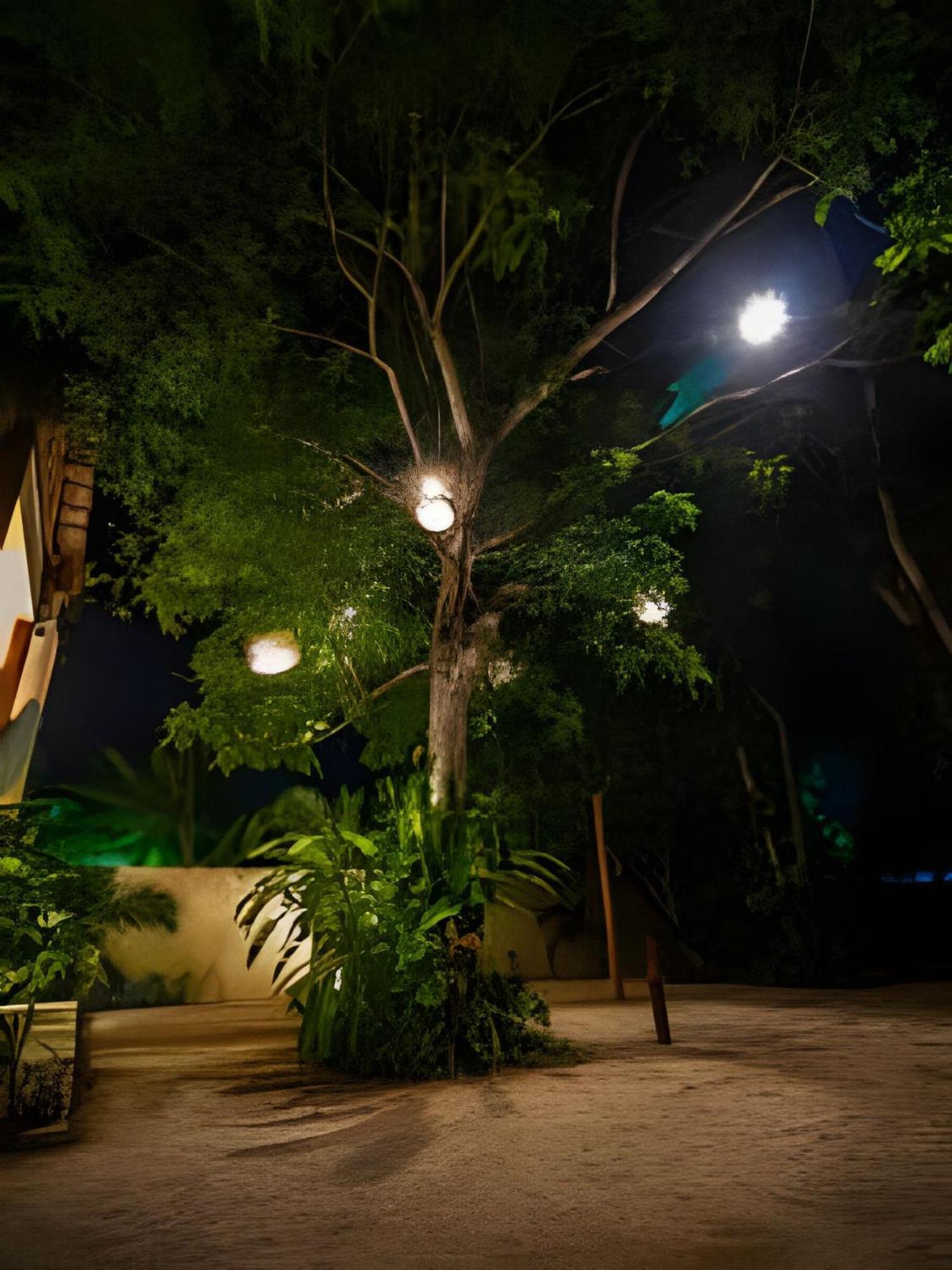 Casa De Piedra - Departamentos Bacalar- 아파트 외부 사진